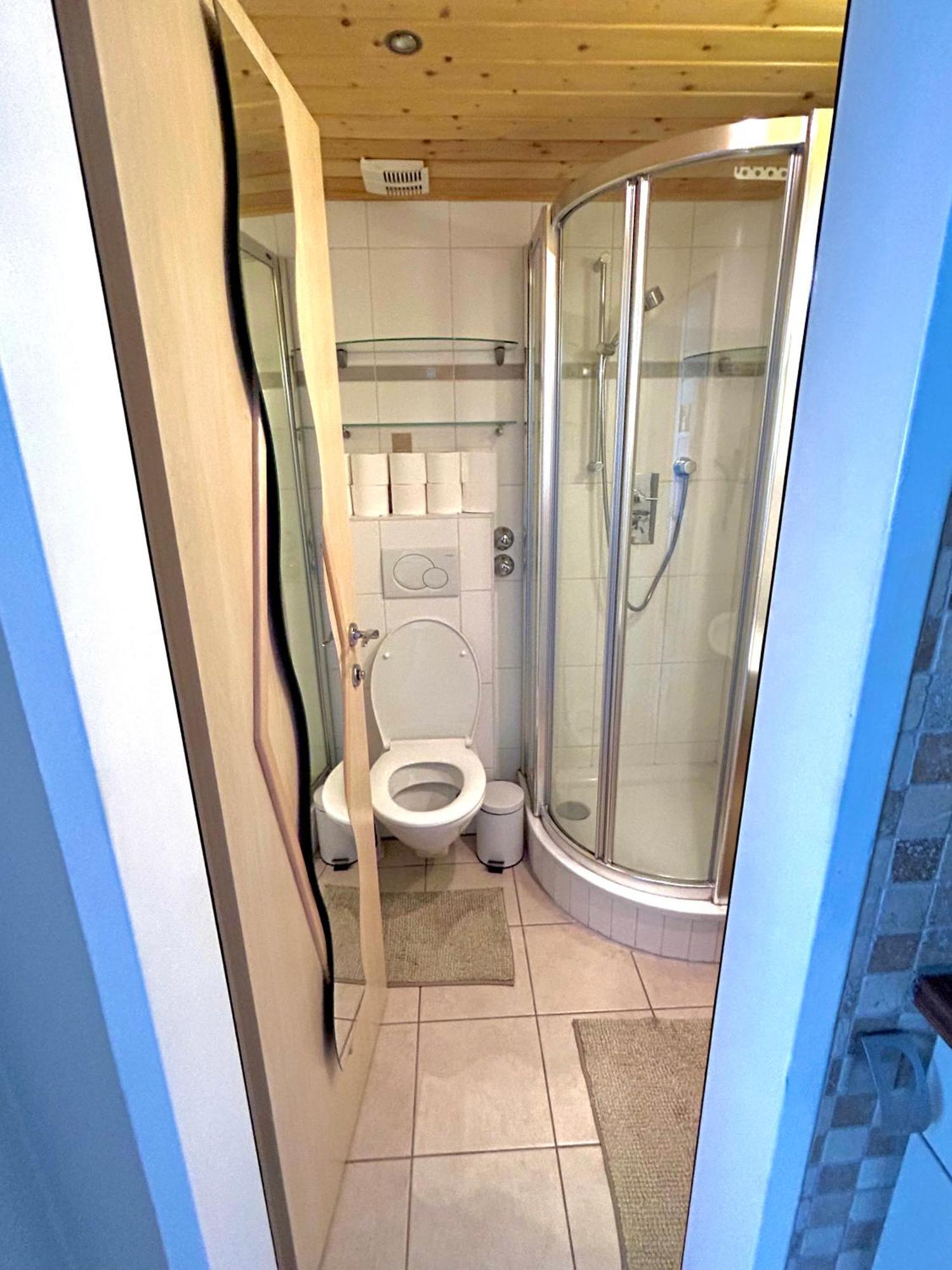Alpine Apartment Schladming Mit Sauna Und Pool Exterior photo